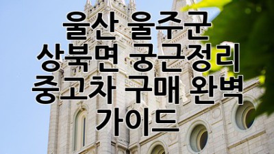 울산 울주군 상북면 궁근정리 중고차 구매 완벽 가이드