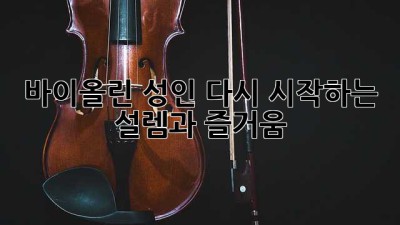 바이올린 성인: 다시 시작하는 설렘과 즐거움